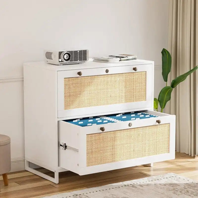 File Cabinet Lateral 2-Drawer Wood Rattan with Lock for Home Office
